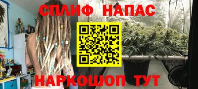 наркотики Владикавказ