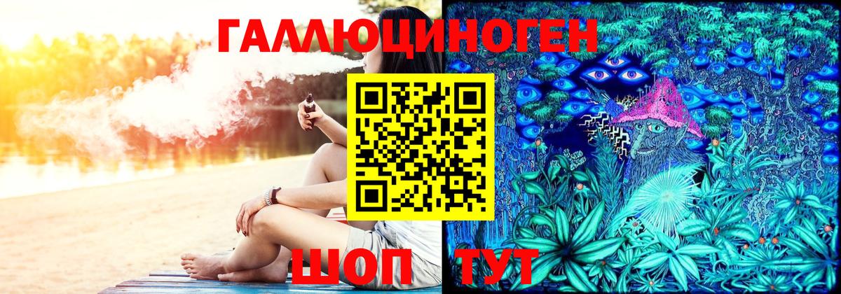 магазин продажи наркотиков  Вход с VPN  Богородск  Псилоцибиновые грибы Psilocybe 